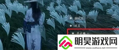 燕云十六声奇遇任务全解析：追光者的探索之旅，网友热评攻略指南